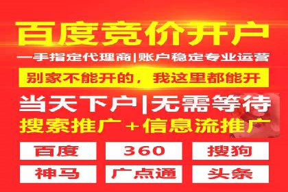 百度竞价广告投放成功案例解析
